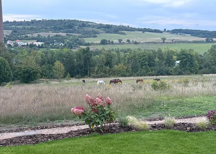Panorama Luxury House * Teplice